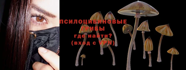 a pvp Рославль