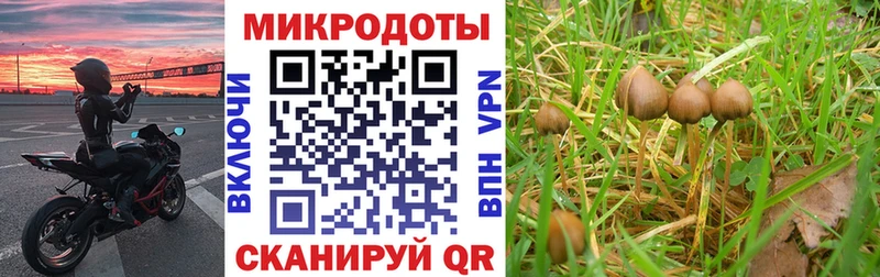 Галлюциногенные грибы MAGIC MUSHROOMS  Малоархангельск 